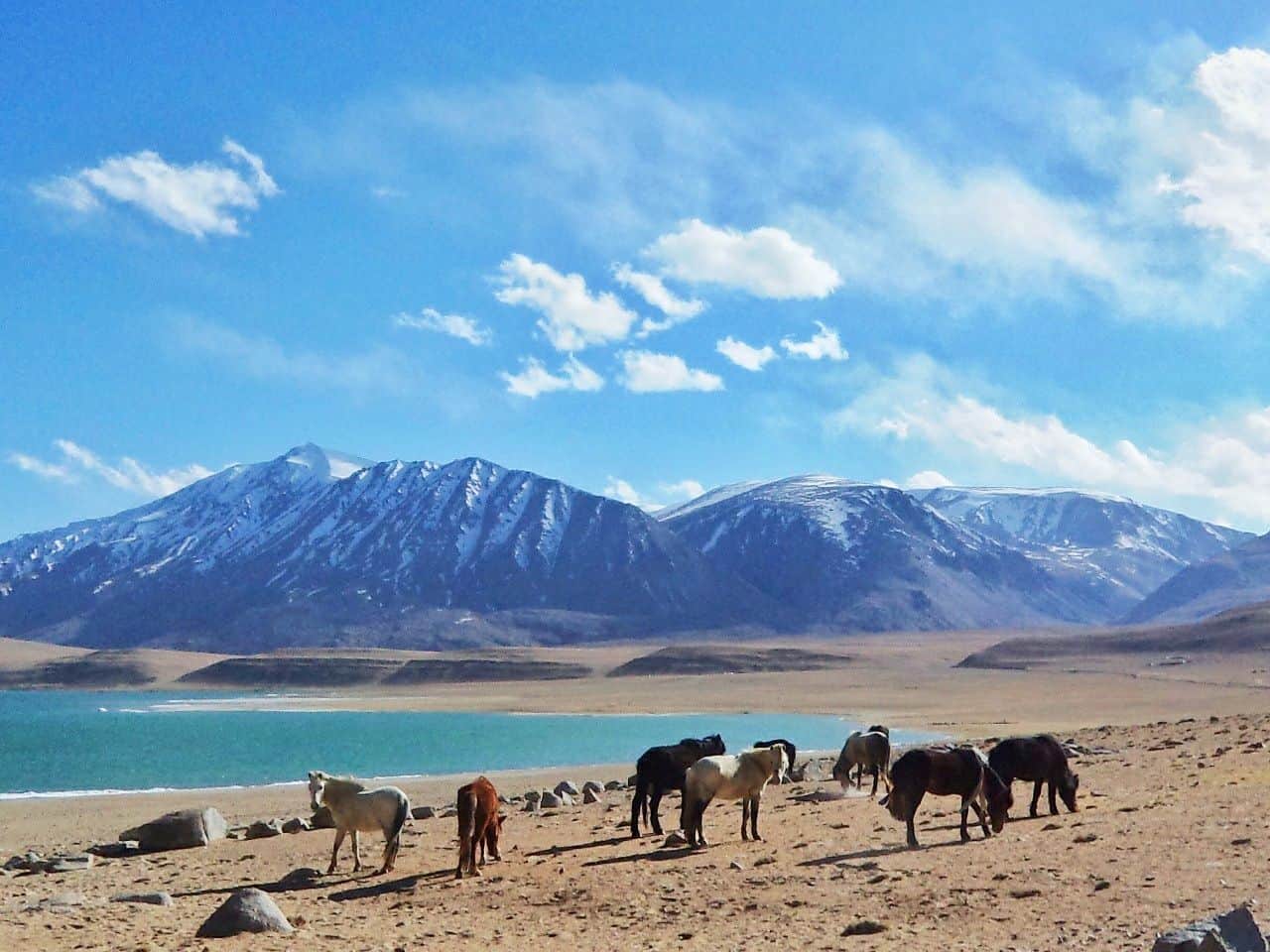Ladakh Honeymoon Tour Package