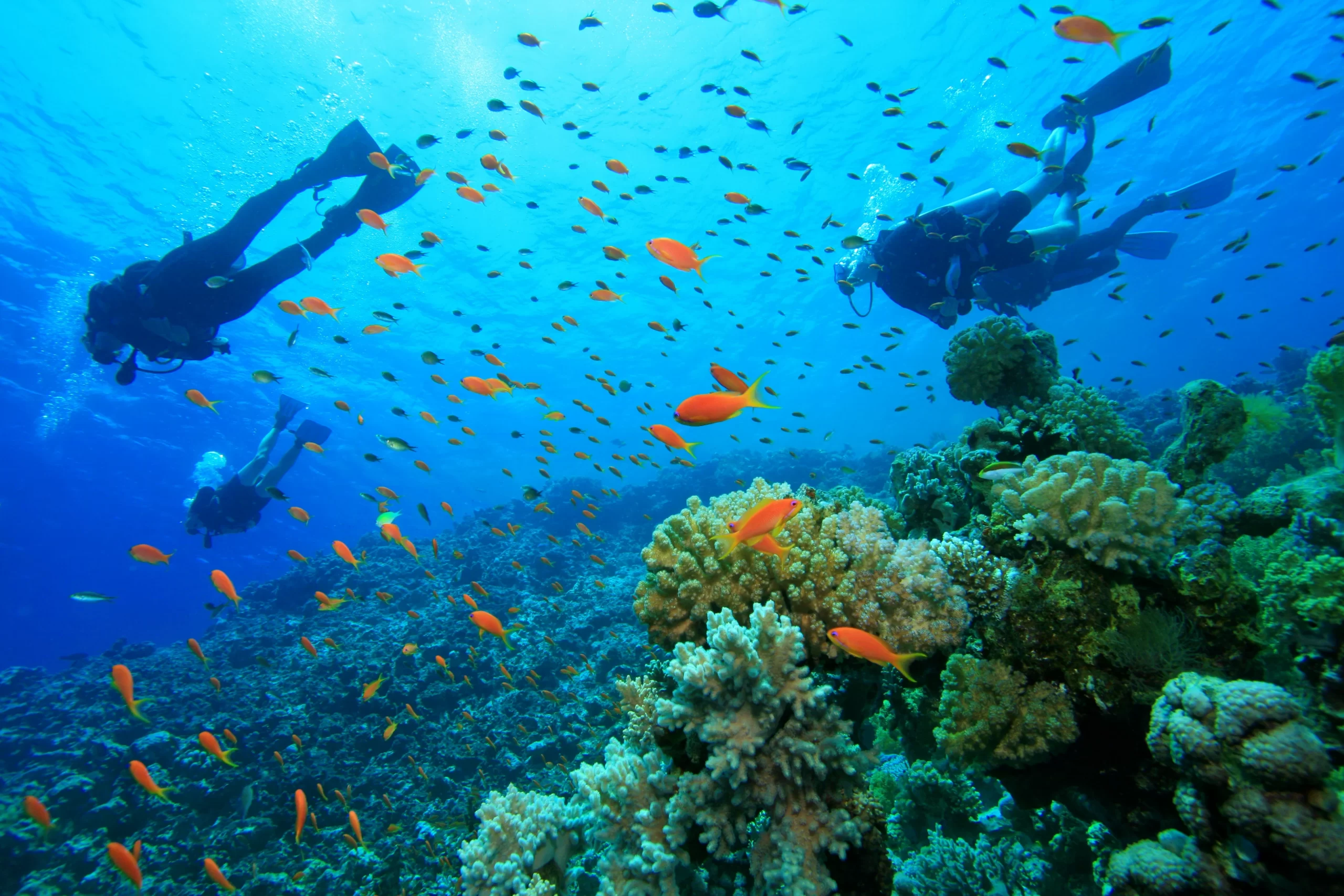 9n9o9aid0vnlvu4921km2lzb36e6_1595914164_shutterstock_58727461