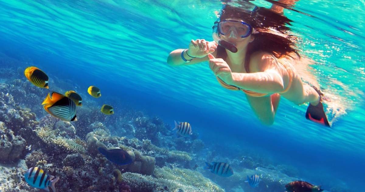 Coral Island Snorkeling Experience in Trincomalee, Sri Lanka
