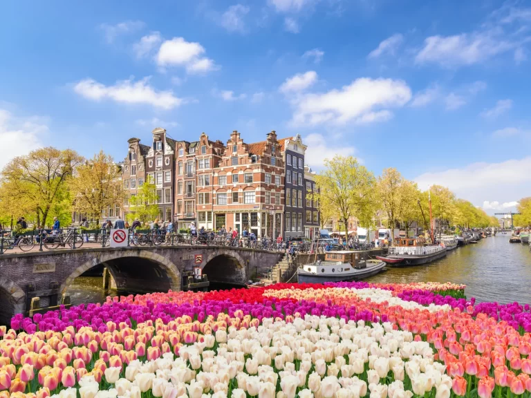 shutterstock_1012458397-1.jpg