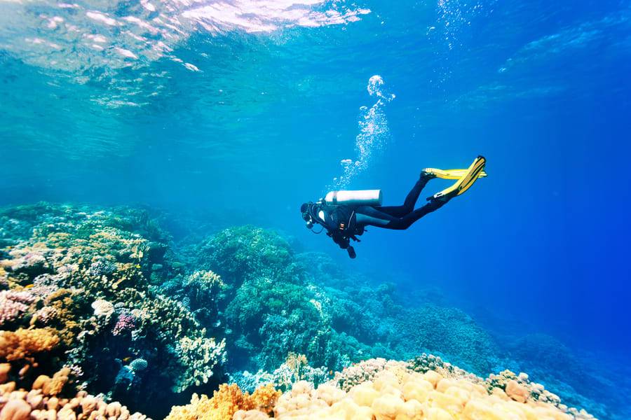 Best Travel Company
