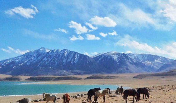 Magical Ladakh with airfare Ex – Mumbai 2023