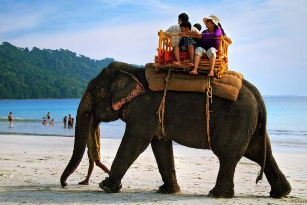 Andaman and Nicobar Honeymoon Tour Package elephant ride